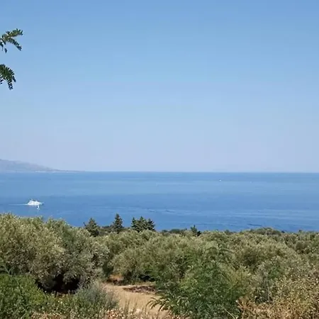 Infinity View *
